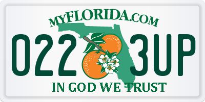 FL license plate 0223UP