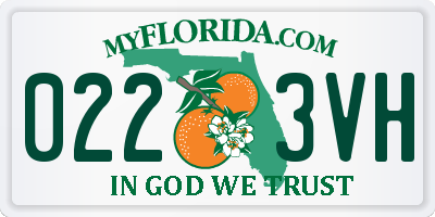 FL license plate 0223VH