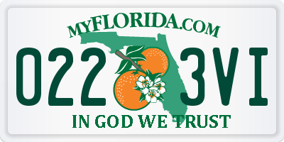 FL license plate 0223VI
