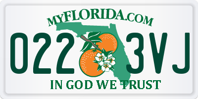 FL license plate 0223VJ