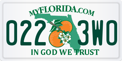 FL license plate 0223WO