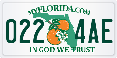 FL license plate 0224AE