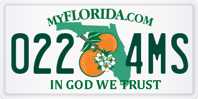 FL license plate 0224MS