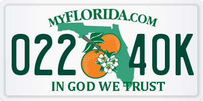 FL license plate 0224OK