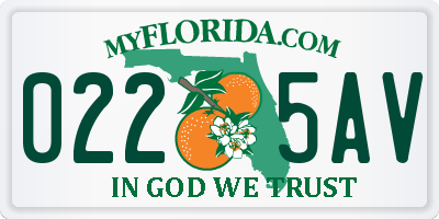 FL license plate 0225AV
