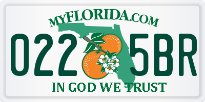 FL license plate 0225BR
