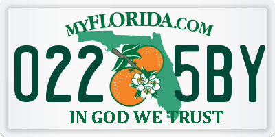 FL license plate 0225BY
