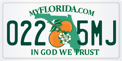 FL license plate 0225MJ