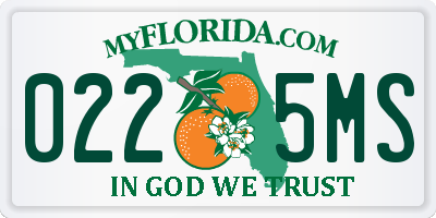 FL license plate 0225MS
