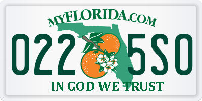 FL license plate 0225SO