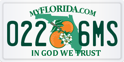 FL license plate 0226MS