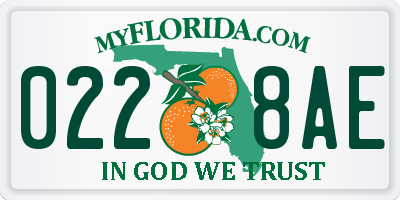 FL license plate 0228AE