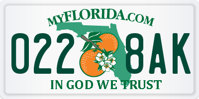 FL license plate 0228AK