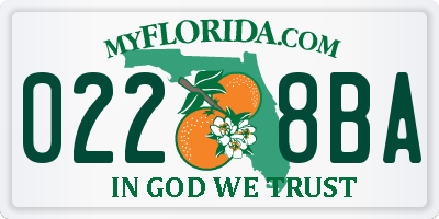 FL license plate 0228BA