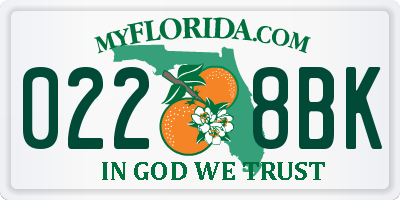 FL license plate 0228BK