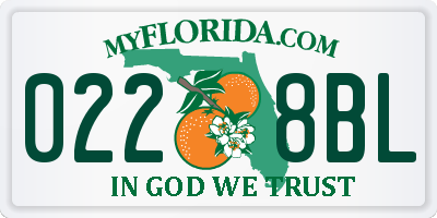 FL license plate 0228BL