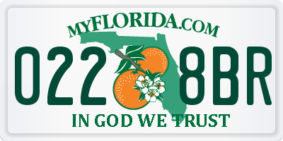 FL license plate 0228BR