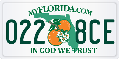 FL license plate 0228CE