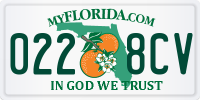 FL license plate 0228CV