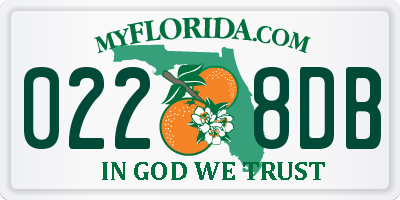FL license plate 0228DB