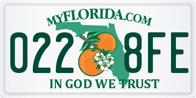 FL license plate 0228FE