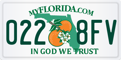FL license plate 0228FV
