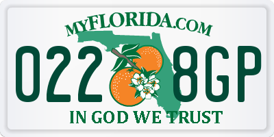 FL license plate 0228GP