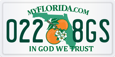 FL license plate 0228GS
