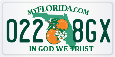 FL license plate 0228GX