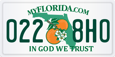 FL license plate 0228HO