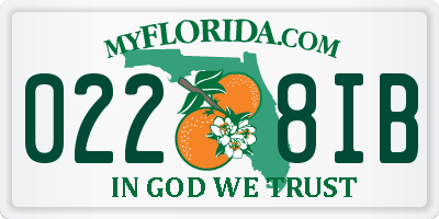 FL license plate 0228IB