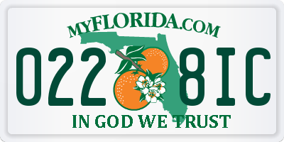 FL license plate 0228IC