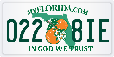 FL license plate 0228IE