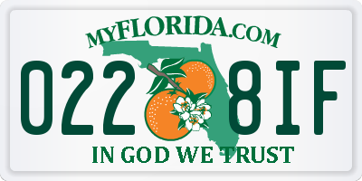 FL license plate 0228IF