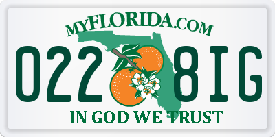 FL license plate 0228IG