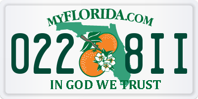 FL license plate 0228II