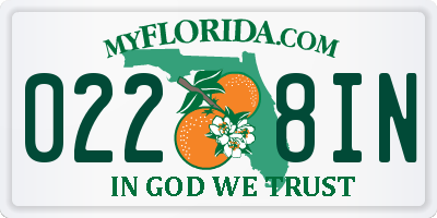 FL license plate 0228IN