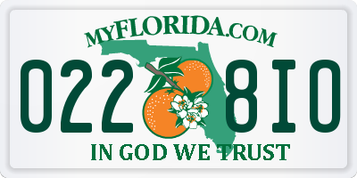 FL license plate 0228IO