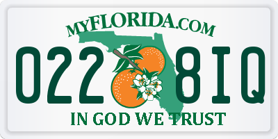 FL license plate 0228IQ
