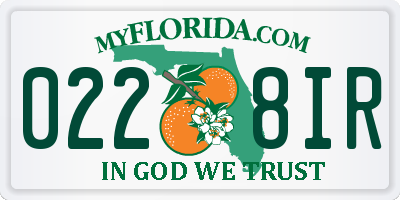 FL license plate 0228IR