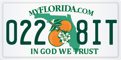 FL license plate 0228IT