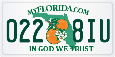 FL license plate 0228IU