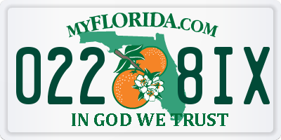 FL license plate 0228IX