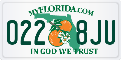 FL license plate 0228JU