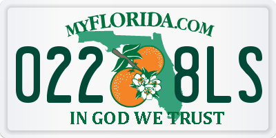 FL license plate 0228LS