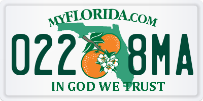 FL license plate 0228MA