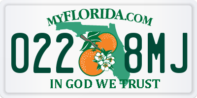FL license plate 0228MJ