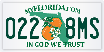 FL license plate 0228MS