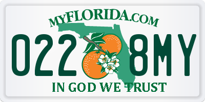 FL license plate 0228MY
