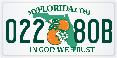 FL license plate 0228OB